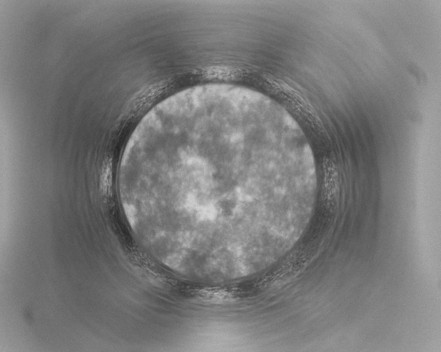 X0000115580502200912221051