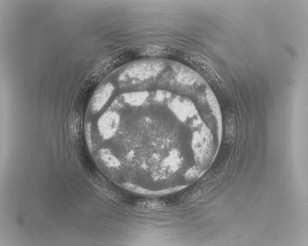 X0000115580503200912221051