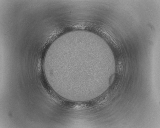 X0000115580504200912221051