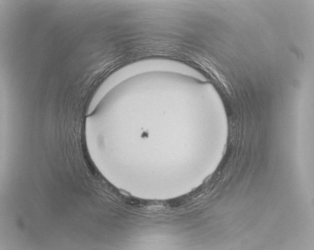 X0000115580505200912221051