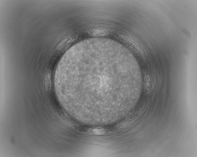 X0000115580506200912221051