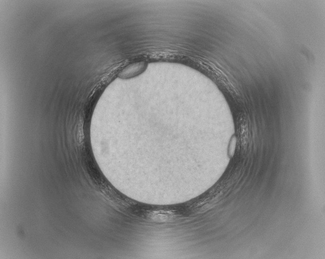 X0000115580508200912221051