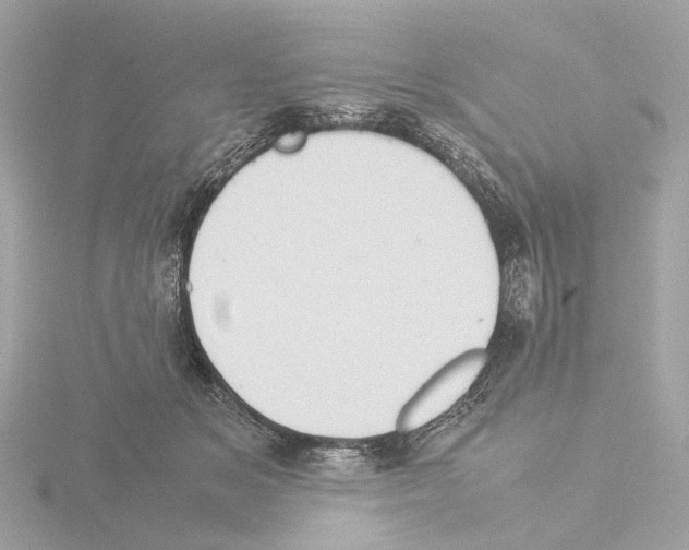 X0000115580509200912221051