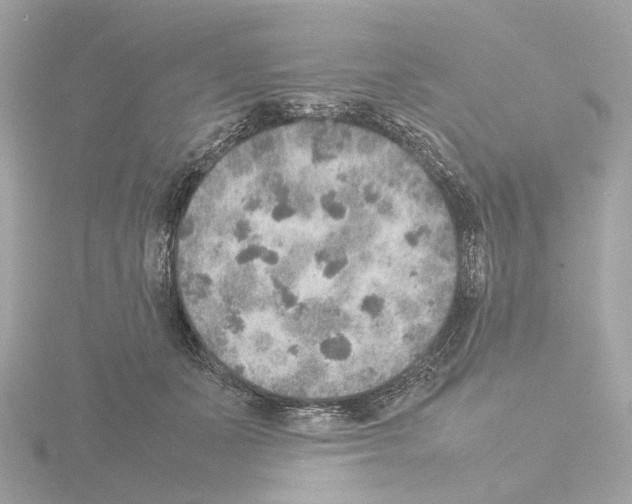 X0000115580511200912221051