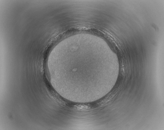 X0000115580512200912221051