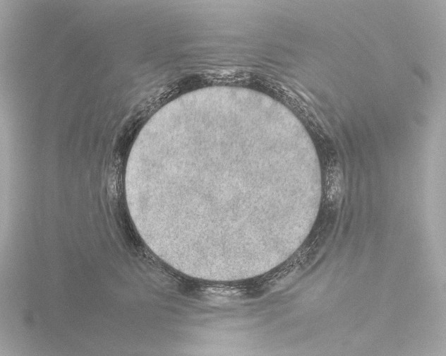 X0000115580515200912221051