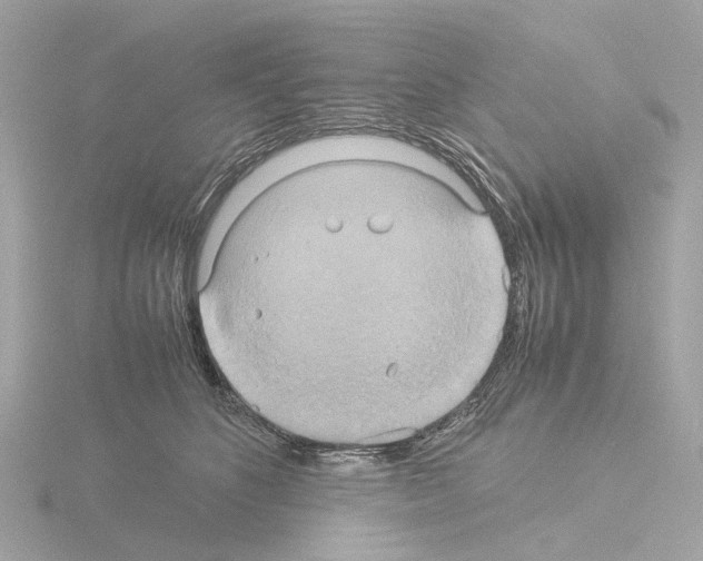 X0000115580516200912221051