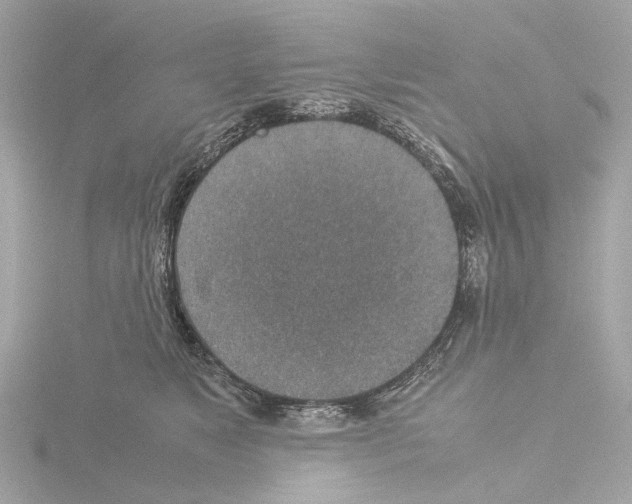 X0000115580517200912221051