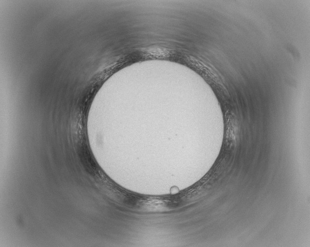 X0000115580518200912221051