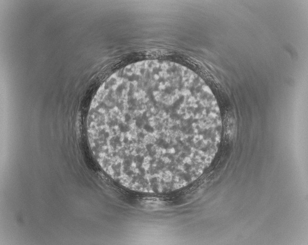 X0000115580519200912221051