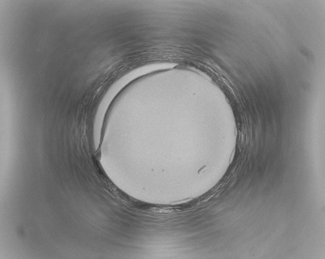 X0000115580520200912221051