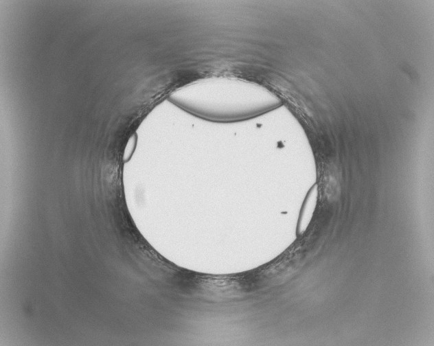 X0000115580521200912221051