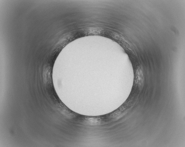 X0000115580522200912221051