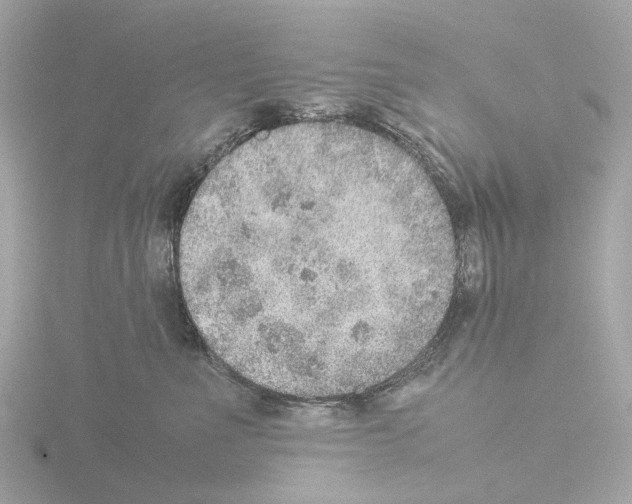 X0000115580523200912221051