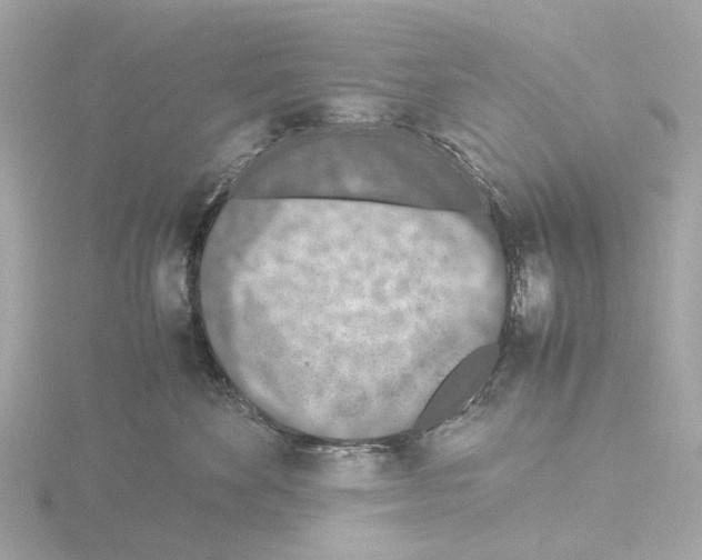 X0000115580524200912221051