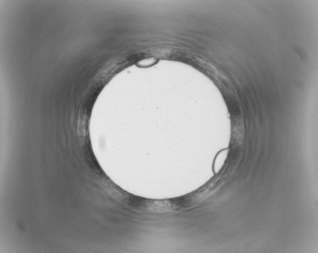 X0000115580525200912221051