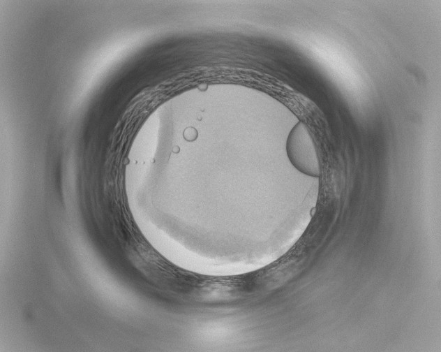 X0000115580526200912221051