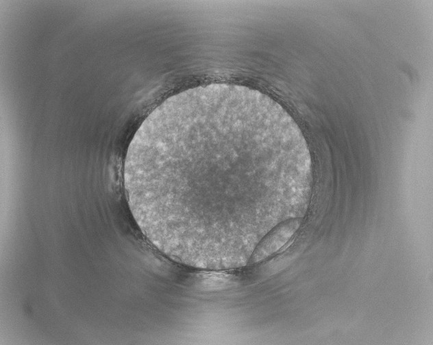 X0000115580528200912221051