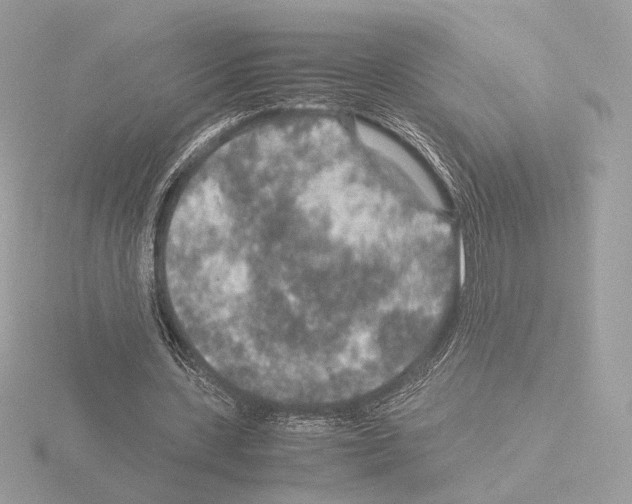 X0000115580531200912221051