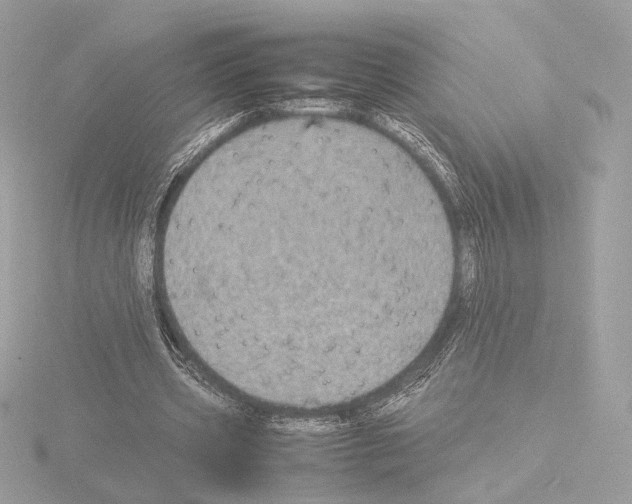 X0000115580533200912221051