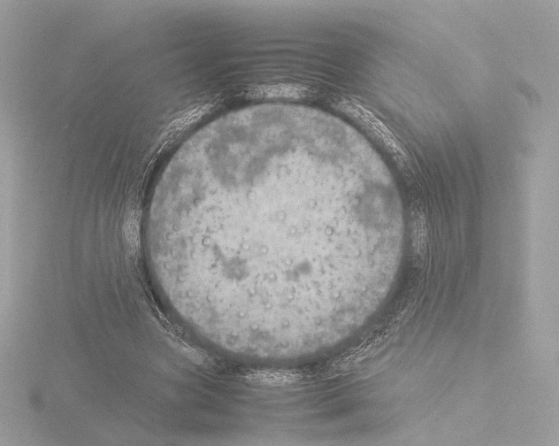 X0000115580537200912221051