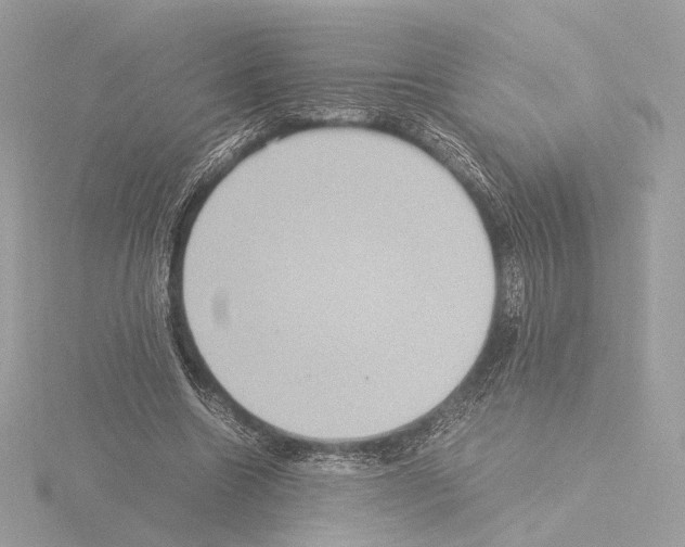 X0000115580538200912221051