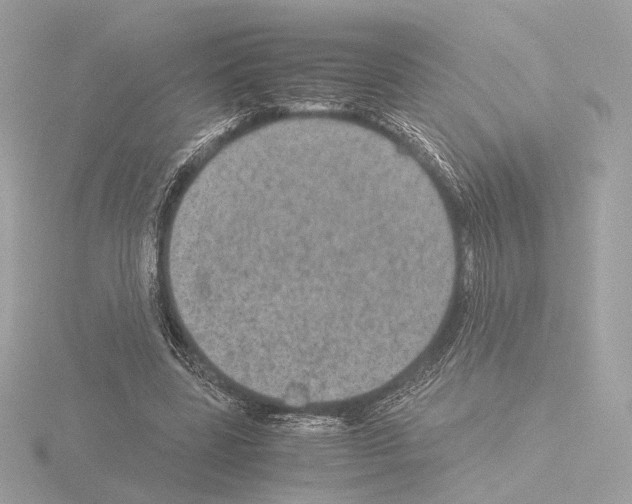 X0000115580539200912221051