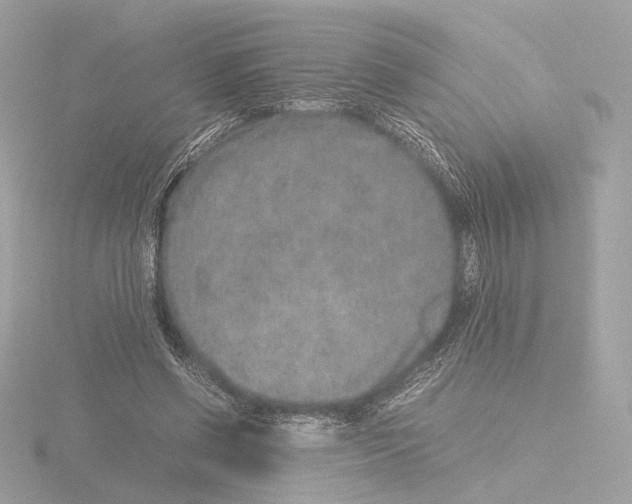 X0000115580542200912221051