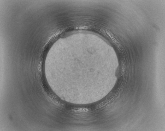 X0000115580543200912221051