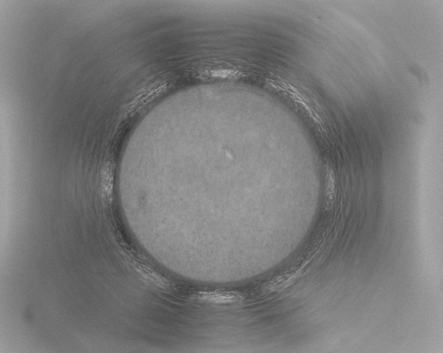 X0000115580545200912221051