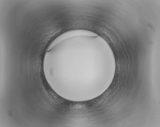 X0000115580546200912221051