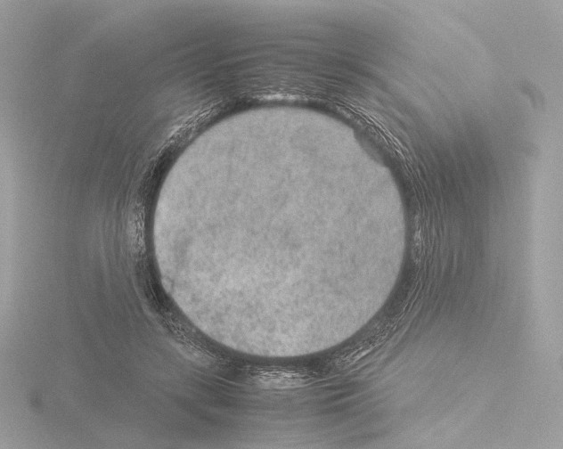 X0000115580547200912221051