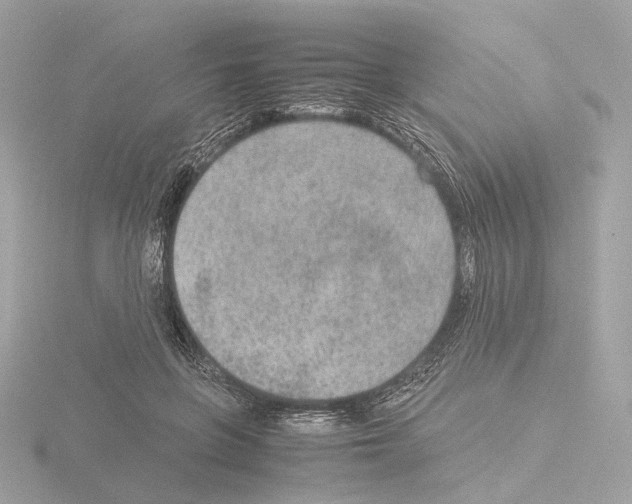 X0000115580551200912221051