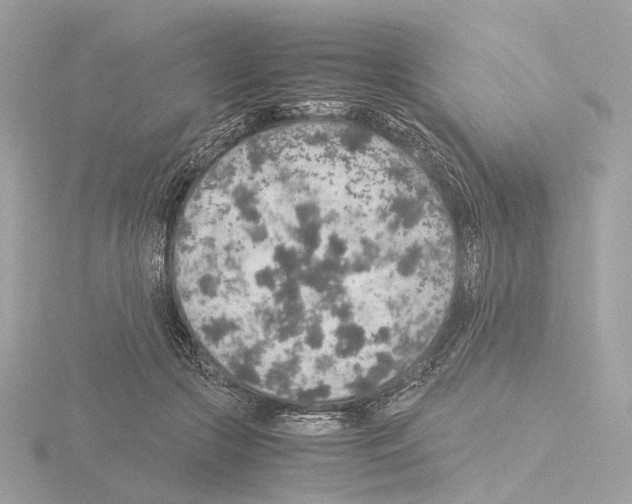 X0000115580553200912221051