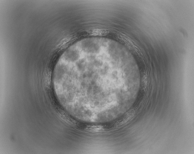 X0000115580554200912221051