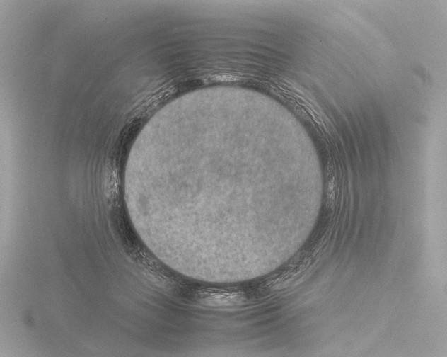 X0000115580555200912221051