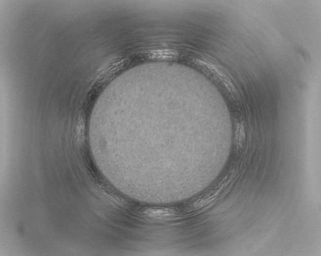 X0000115580557200912221051