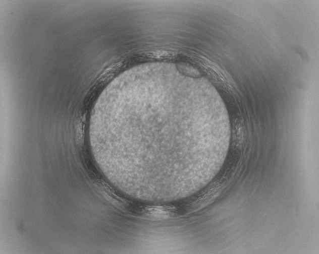 X0000115580558200912221051