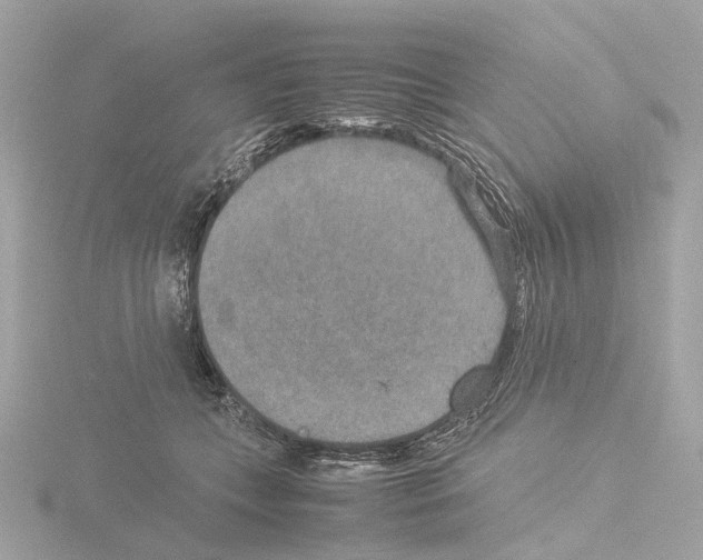 X0000115580559200912221051