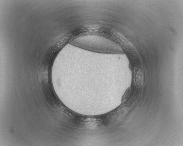 X0000115580562200912221051