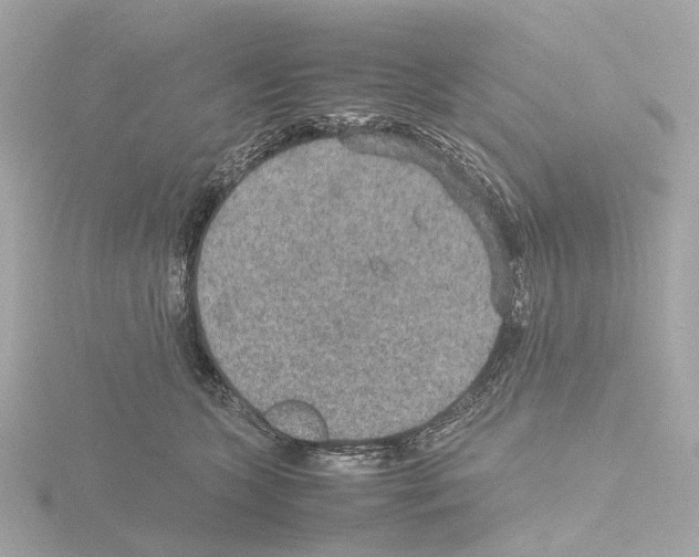 X0000115580563200912221051