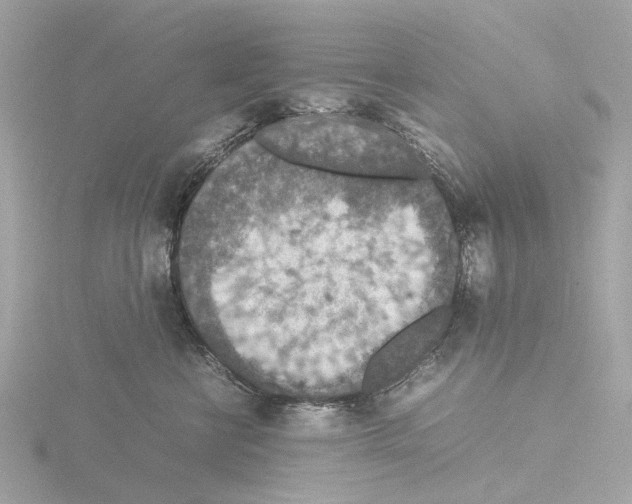 X0000115580570200912221051