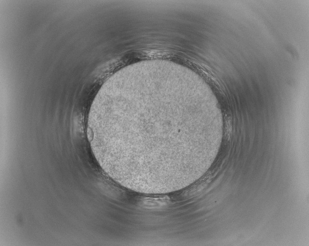 X0000115580571200912221051