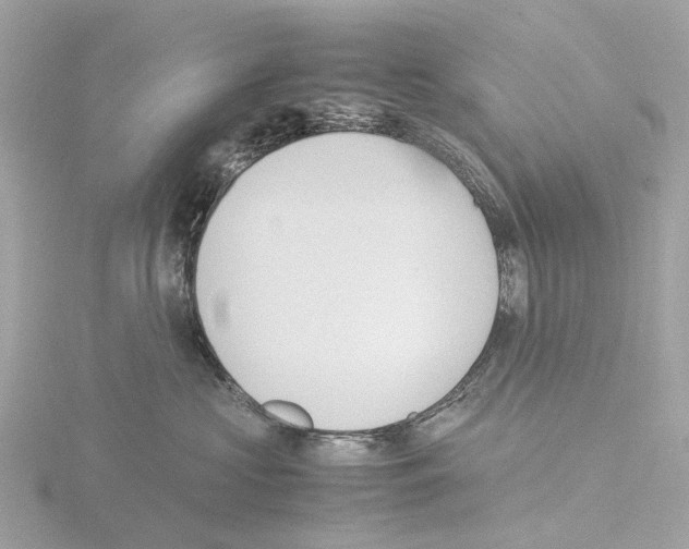 X0000115580573200912221051