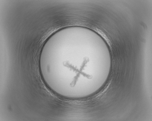 X0000115580577200912221050