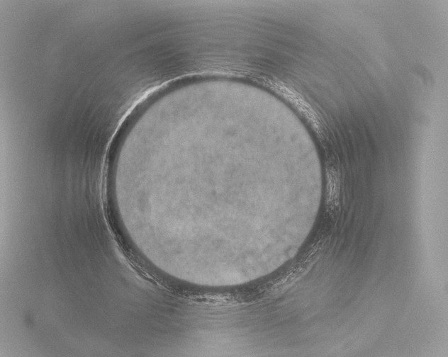 X0000115580580200912221050