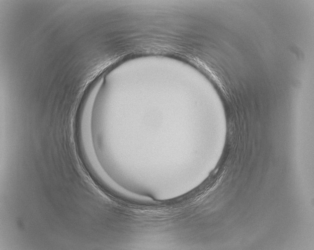 X0000115580581200912221050