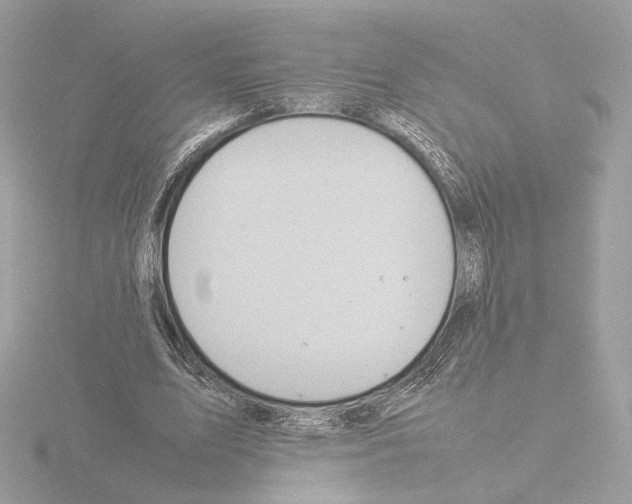 X0000115580583200912221050