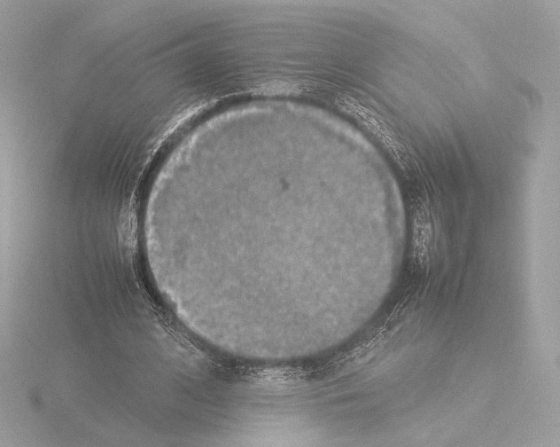 X0000115580584200912221050