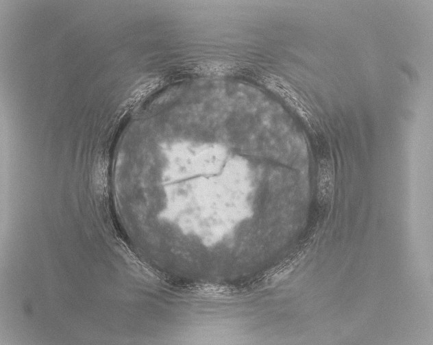 X0000115580585200912221050